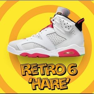 Jordan Retro 6 HAREs